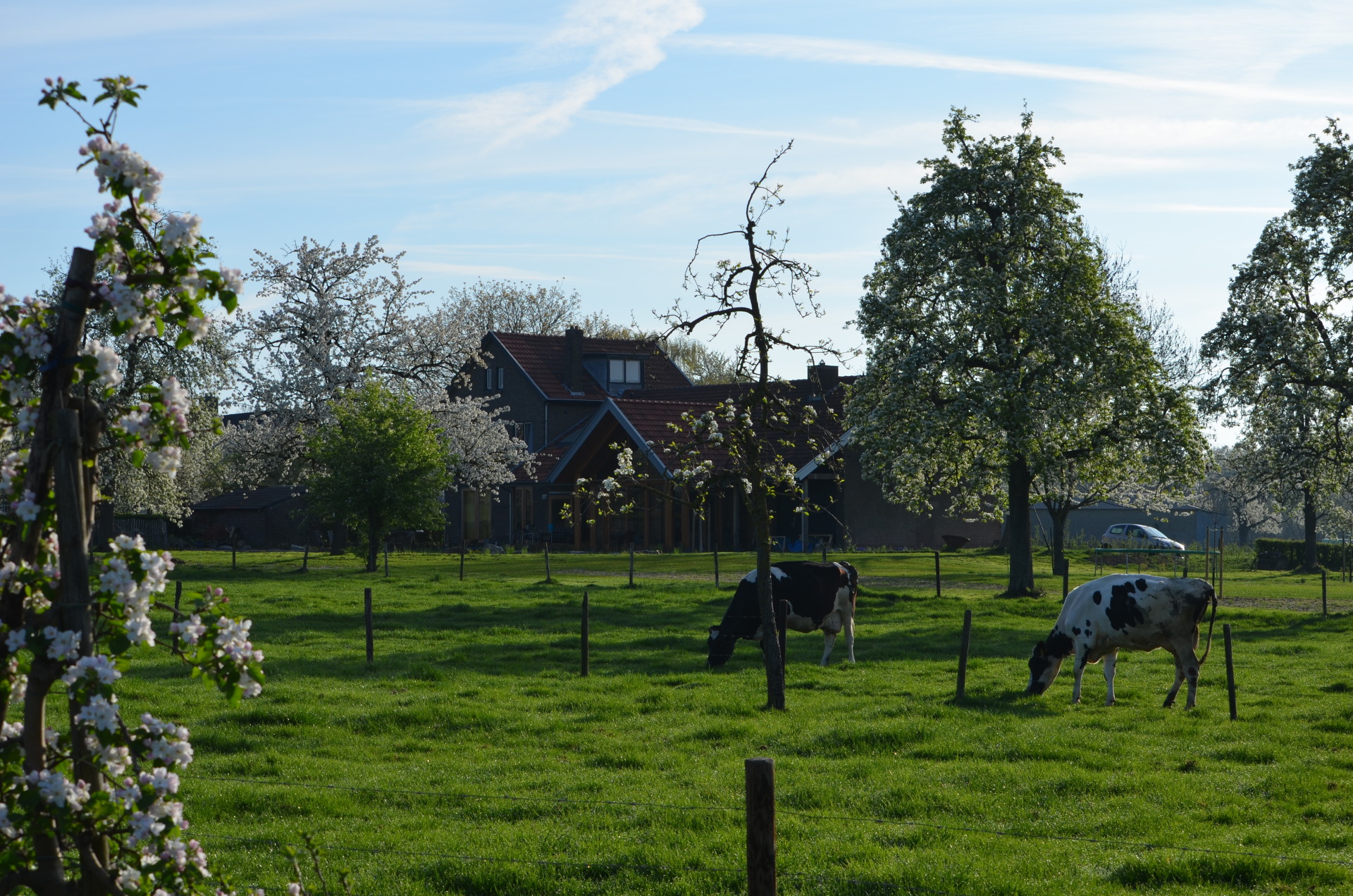 Woonboerderij Limburgs Heuvelland in Heuvelland, beeld 3