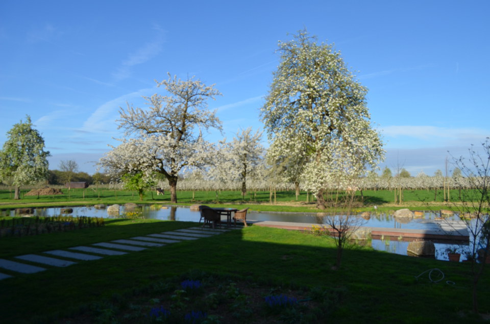 Woonboerderij Limburgs Heuvelland in Heuvelland, beeld 4