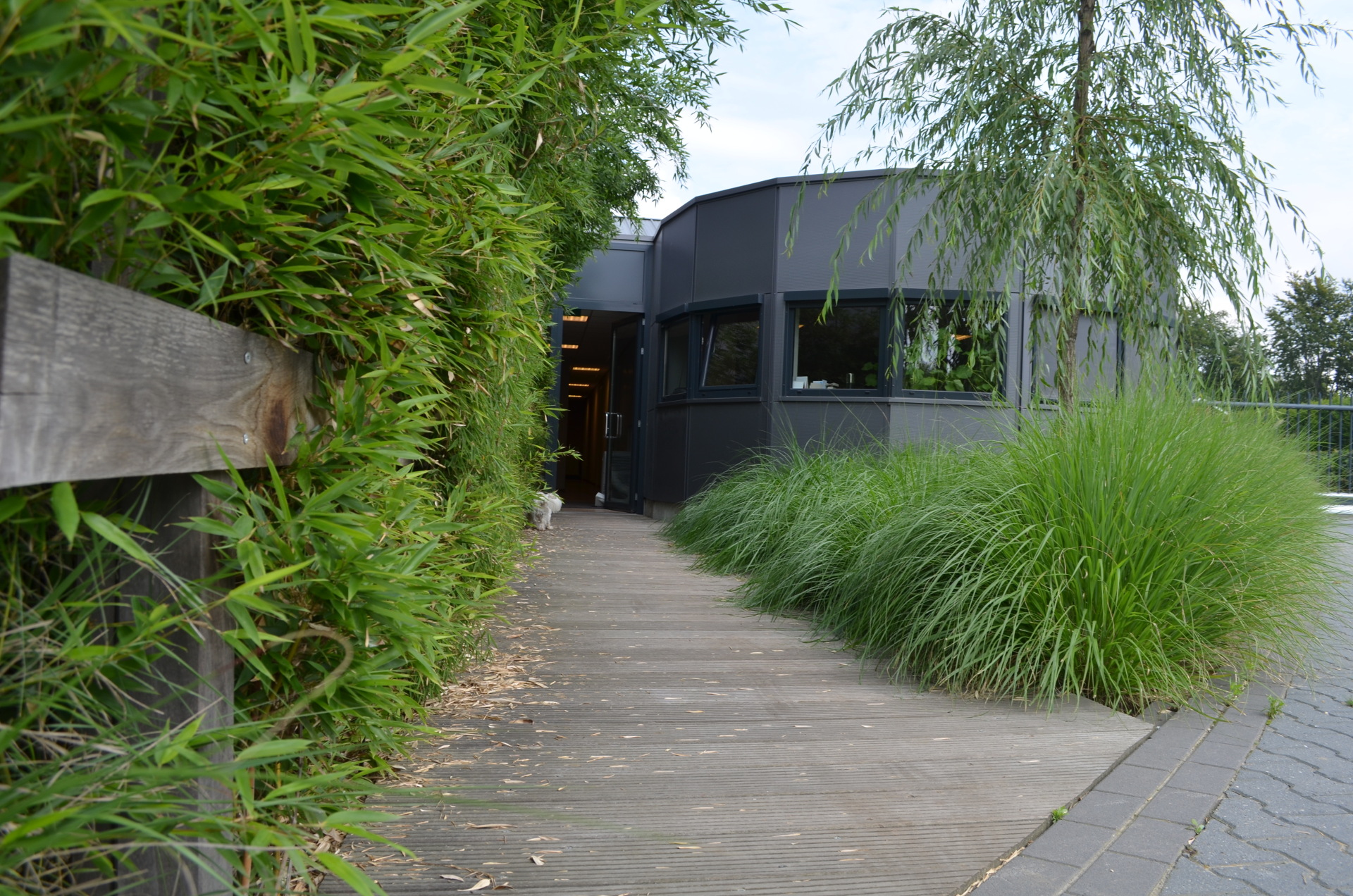 Bedrijfsgebouw Van der Linden Groen Sittard in Sittard, beeld 10