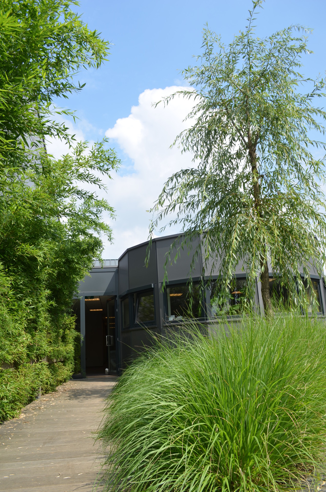 Bedrijfsgebouw Van der Linden Groen Sittard in Sittard, beeld 3